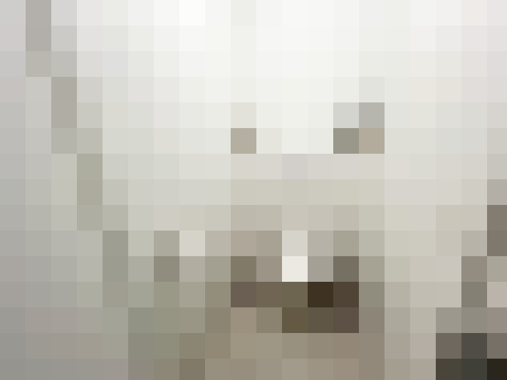 Image 13