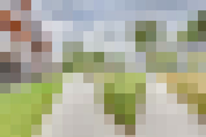 Image 16