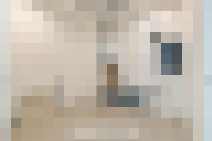 Image 27