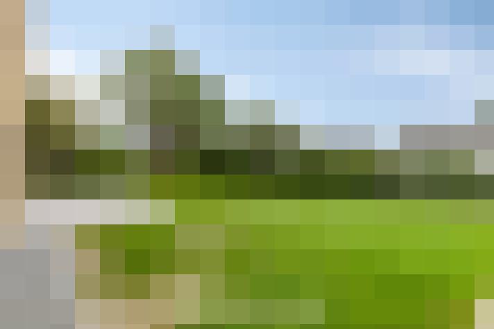 Image 30
