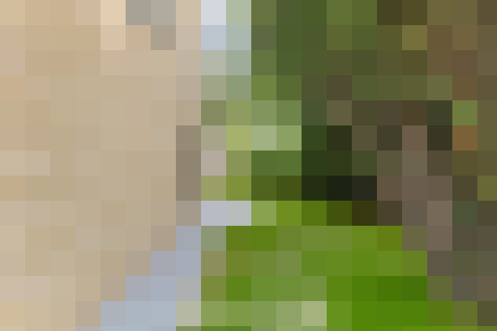 Image 32