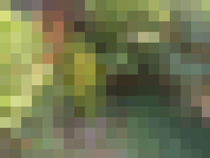 Image 20