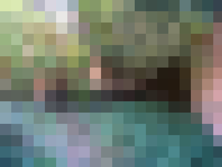 Image 22