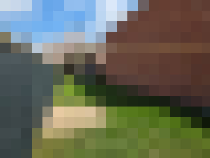 Image 43