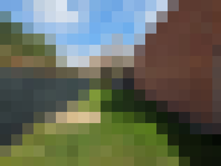 Image 41