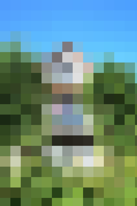 Image 21
