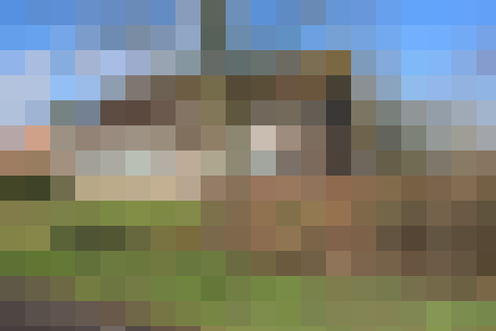 Image 17