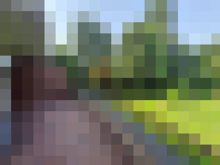 Image 16