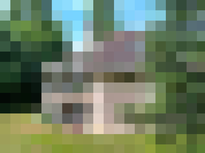 Image 23