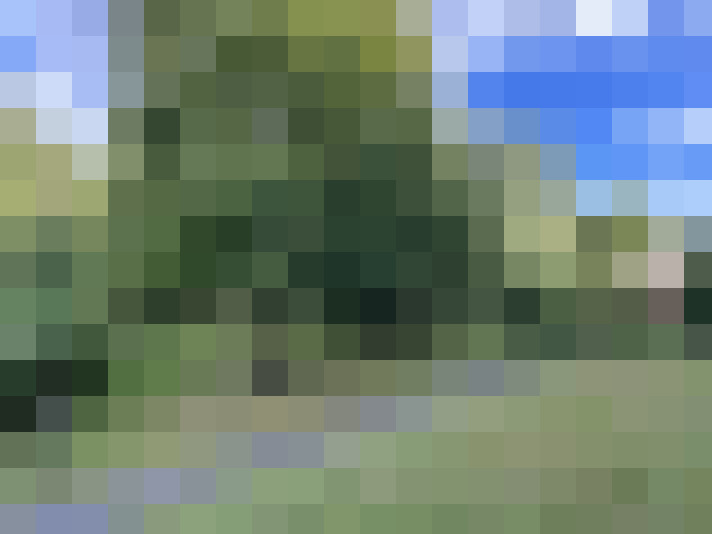 Image 25