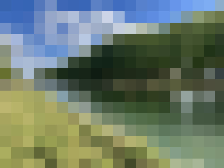 Image 22