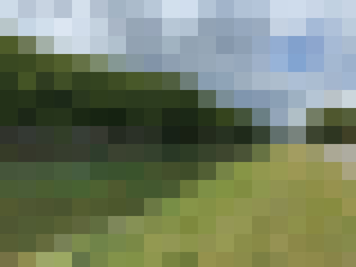 Image 23