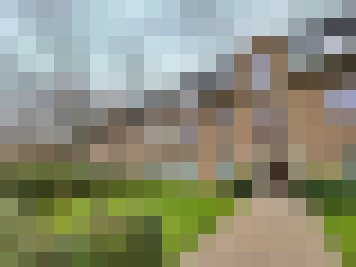 Image 17