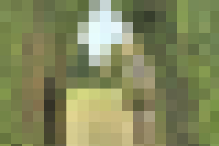Image 32