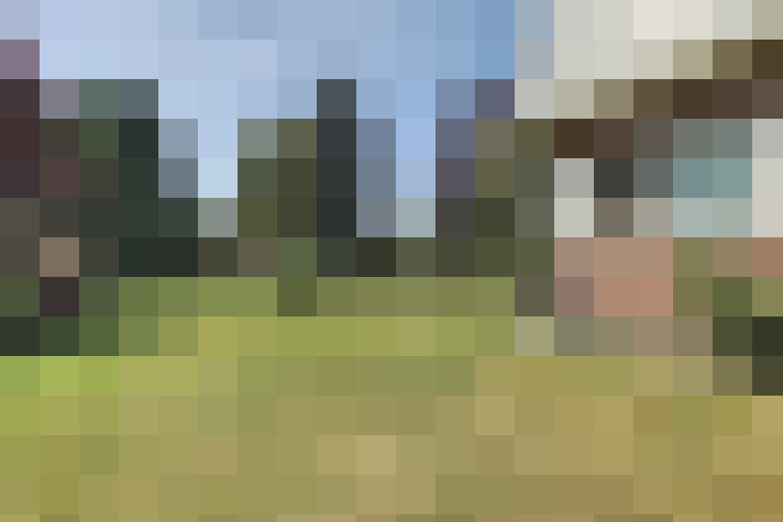 Image 33