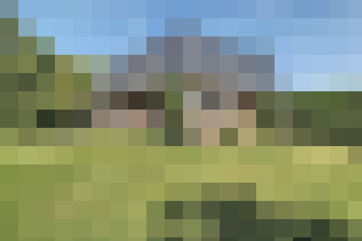 Image 28