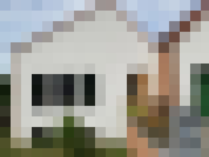 Image 22