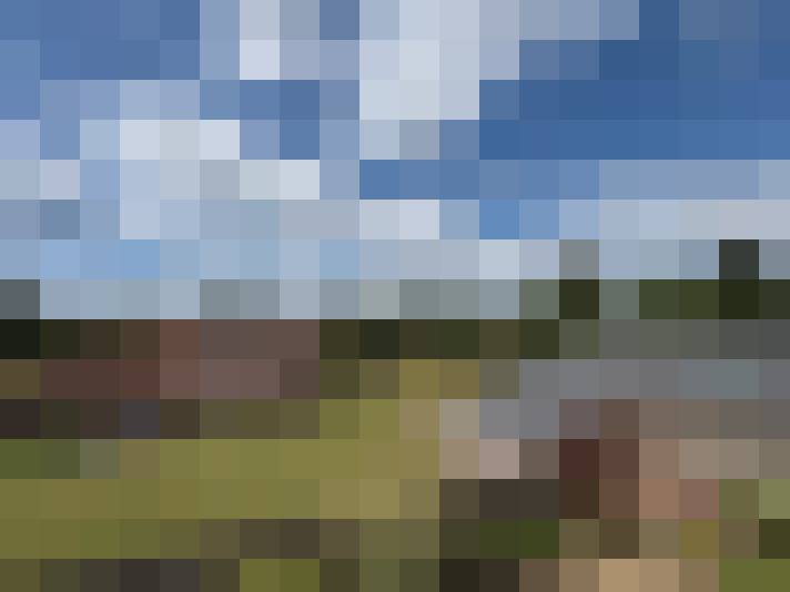 Image 17
