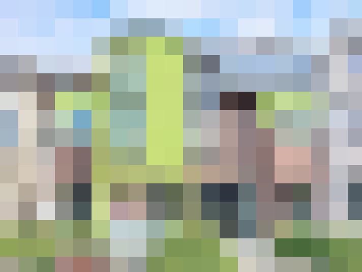 Image 16