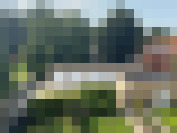 Image 23