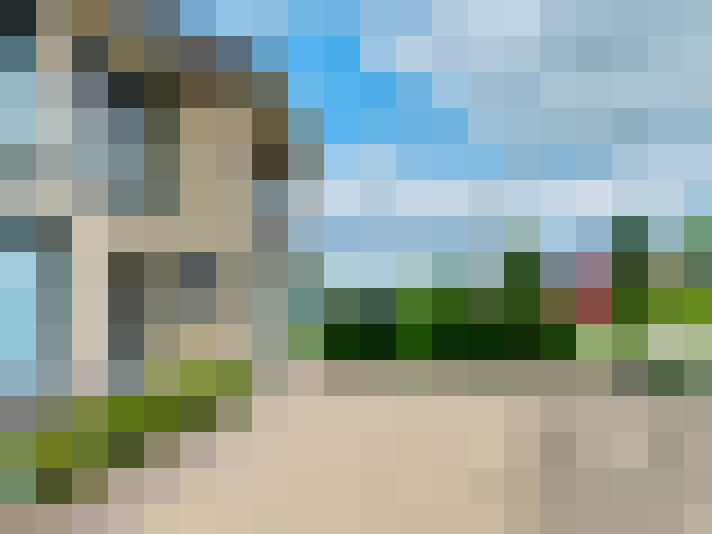 Image 23