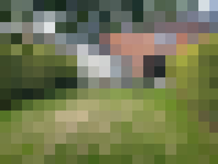 Image 22