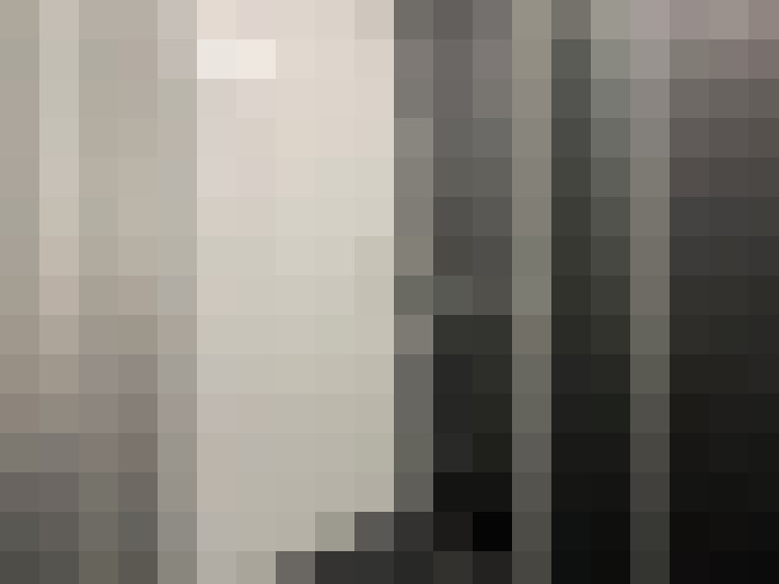 Image 14
