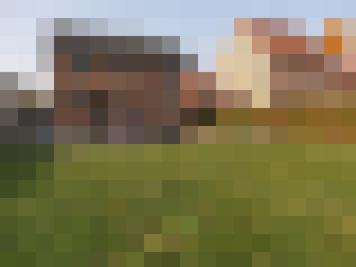 Image 29