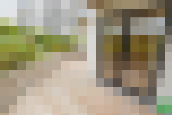 Image 17