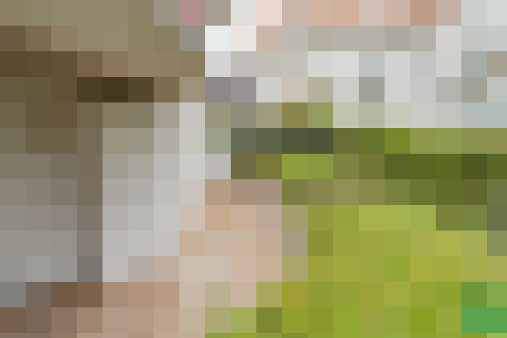 Image 20
