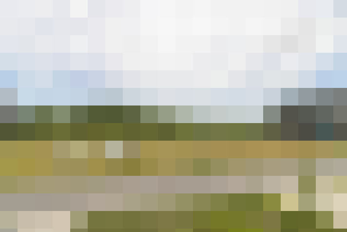 Image 28