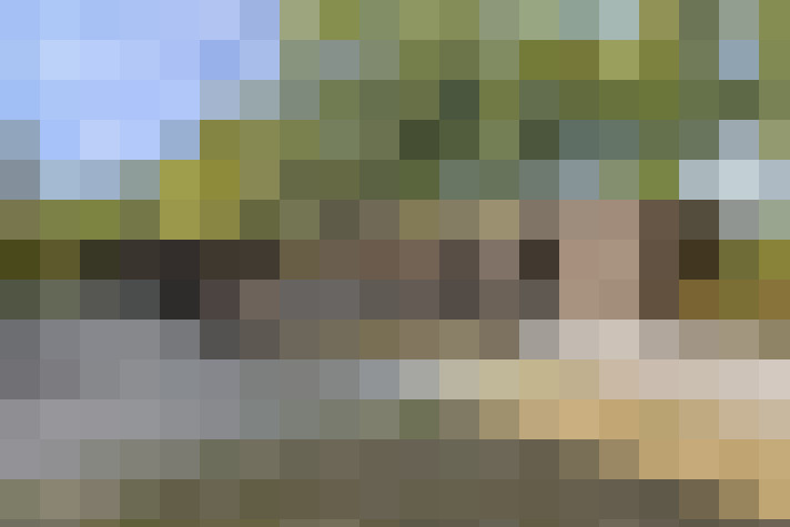 Image 14