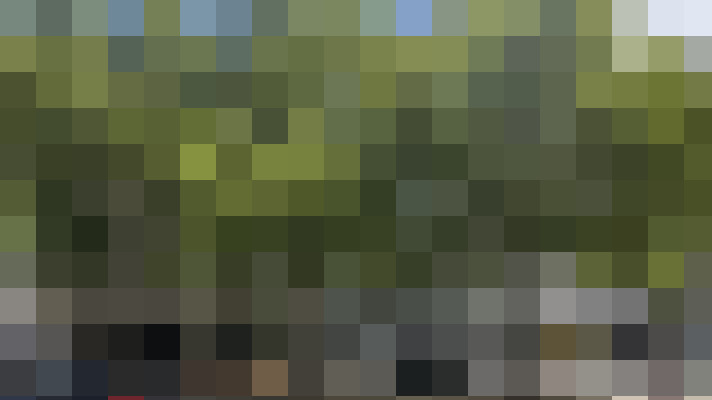 Image 13