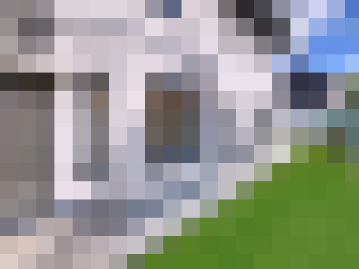 Image 29
