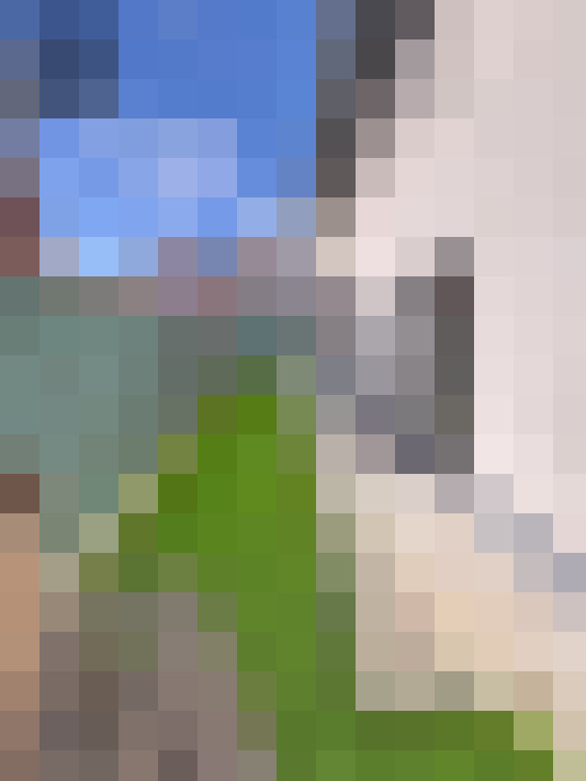 Image 30