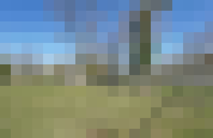 Image 23