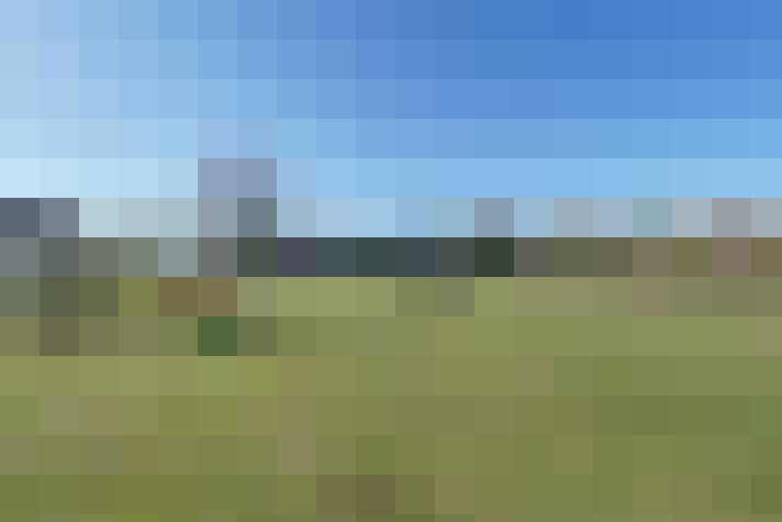 Image 24