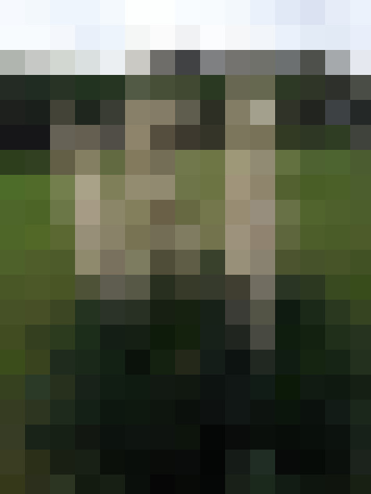 Image 22