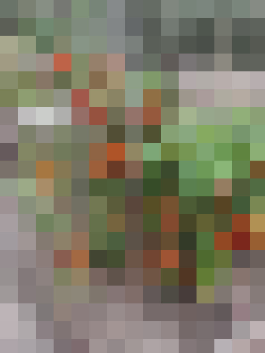 Image 25