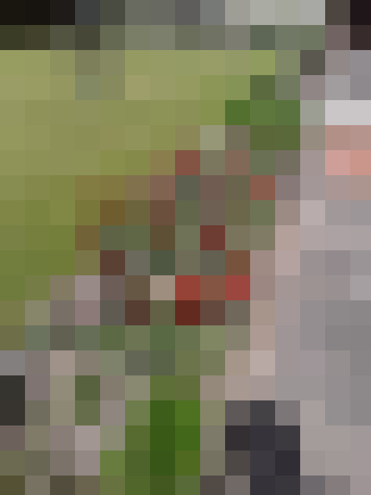Image 24