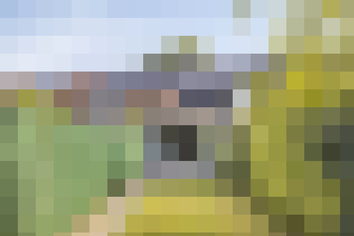 Image 26
