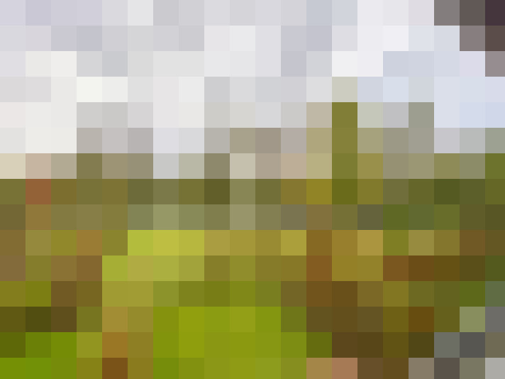 Image 14