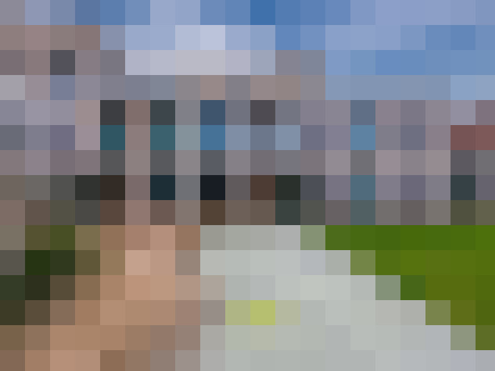 Image 30