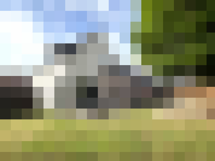 Image 15