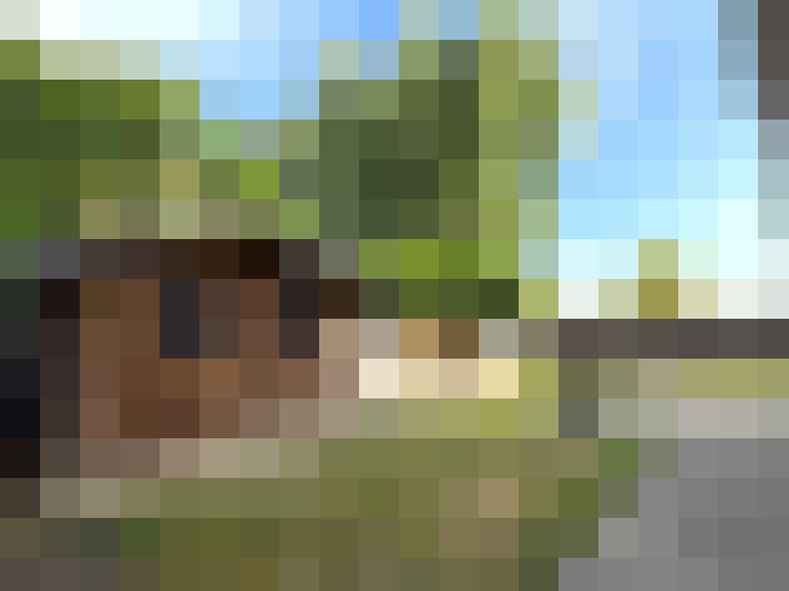 Image 14