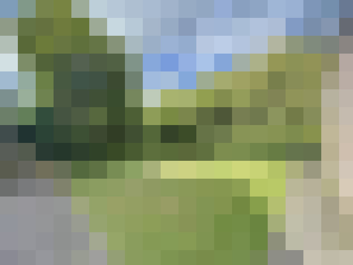 Image 24