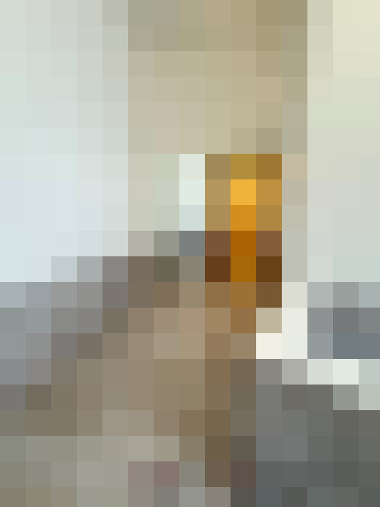Image 30