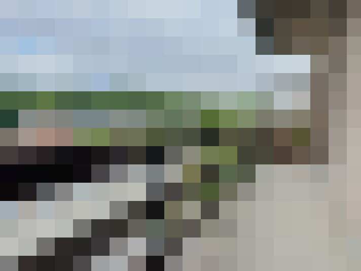 Image 15