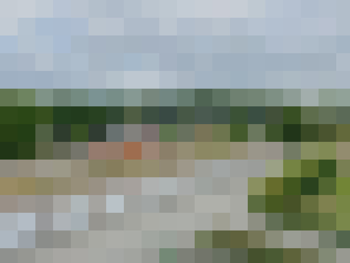 Image 14