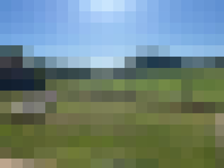 Image 25